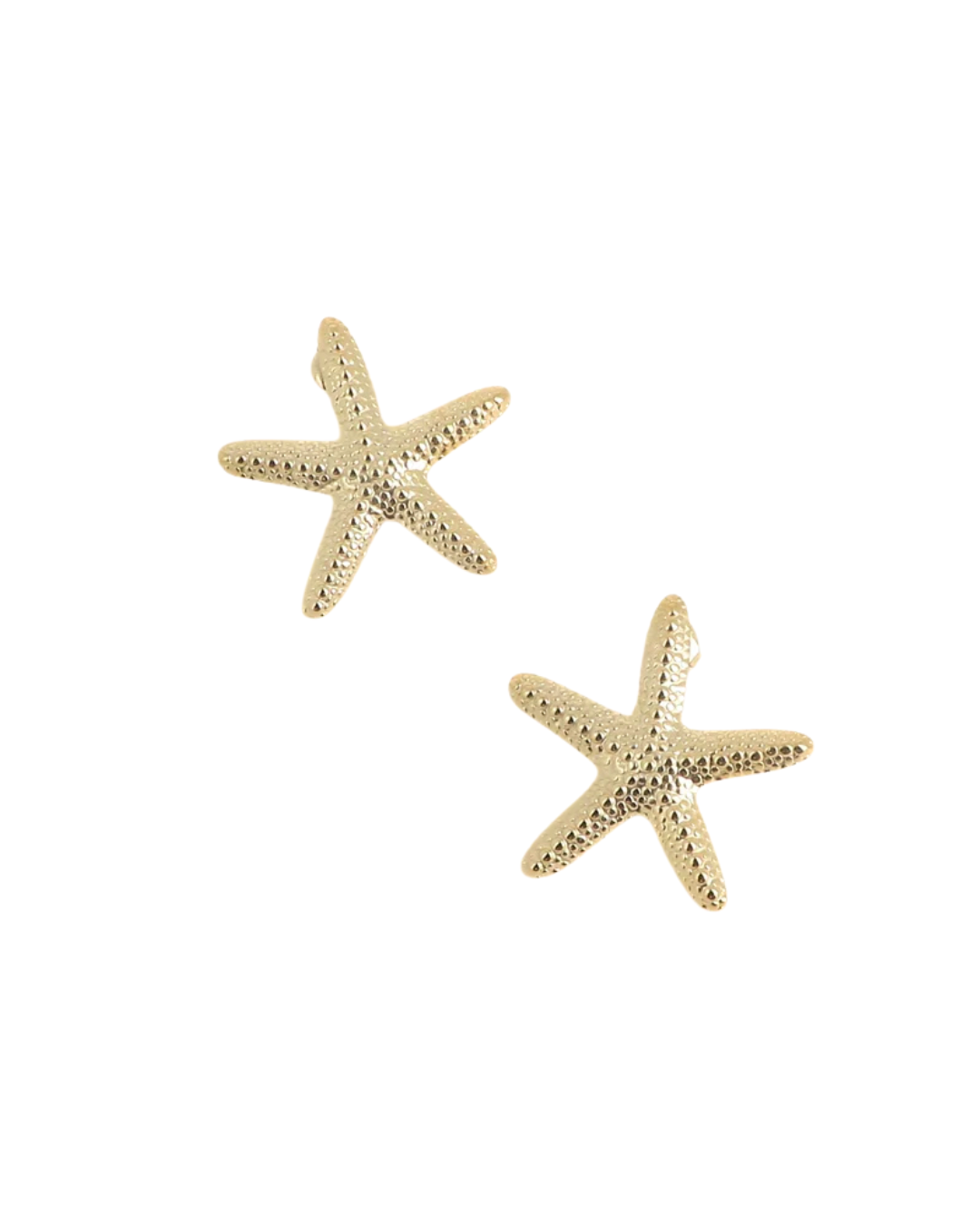 Calypso - Boucles d'oreilles étoile de mer