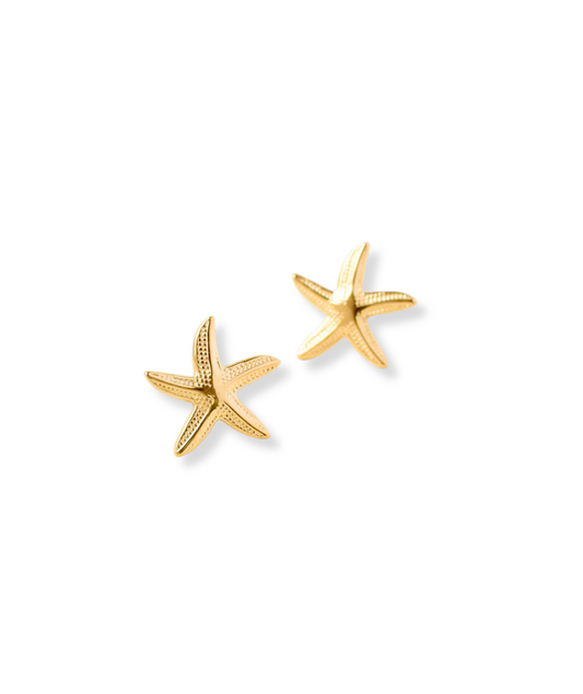 Lucia - Boucles d'oreilles étoile de mer